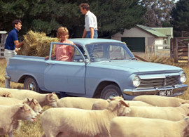 EH Holden Ute